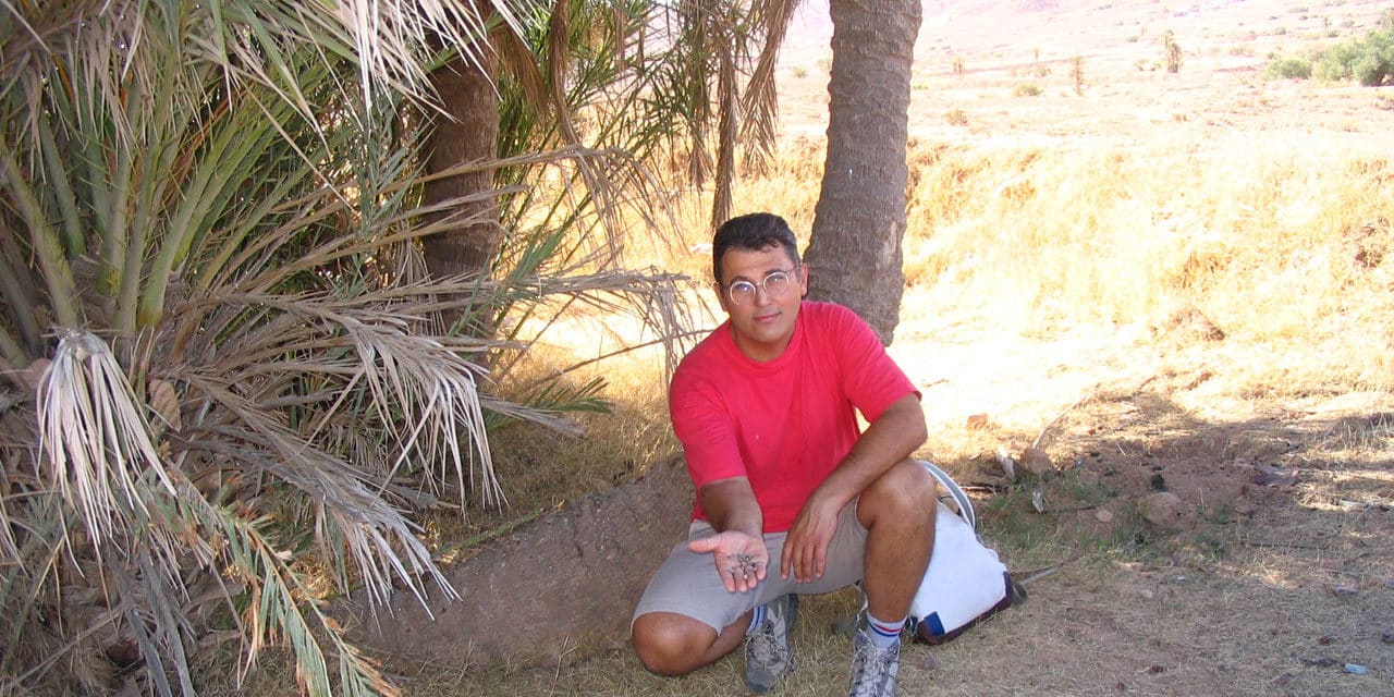 W poszukiwaniu meteorytów