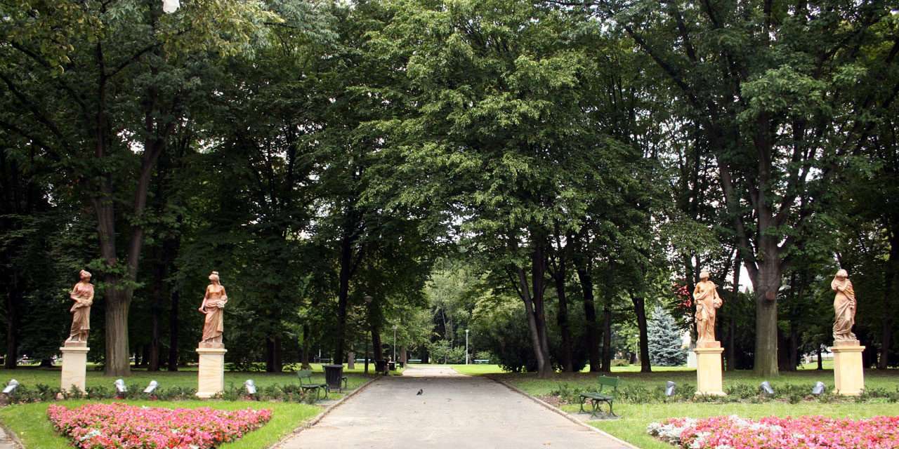 Przyroda Rzeszowa