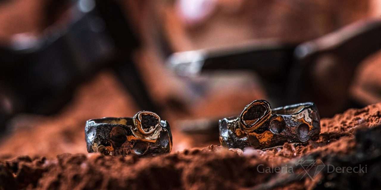 Obrączki marsjańskie (fot. P. Stelmach)