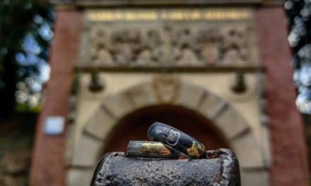 Herbowe obrączki „Onyx” z Brzegu