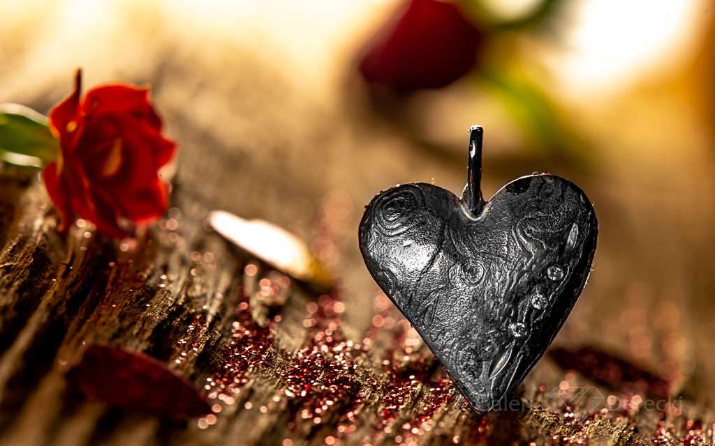 Serce w sercu Polski – relacja z targów w Łodzi